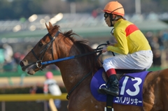 2014　フェブラリーS　コパノリッキー