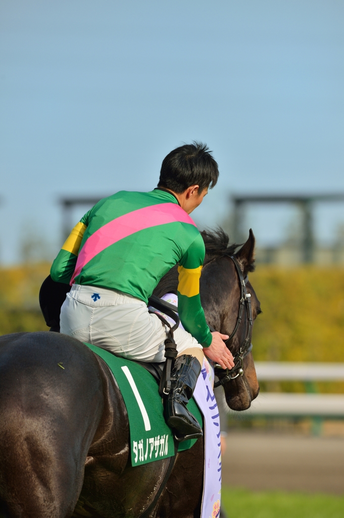 2015 ファルコンS タガノアザガル