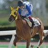 笠松競馬