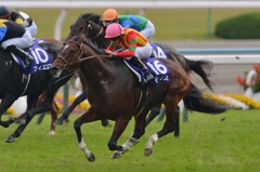 2015 マイルチャンピオンシップ モーリス