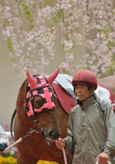 2013 阪神牝馬S サウンドオブハート