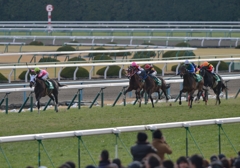 2014 きさらぎ賞　トーセンスターダム