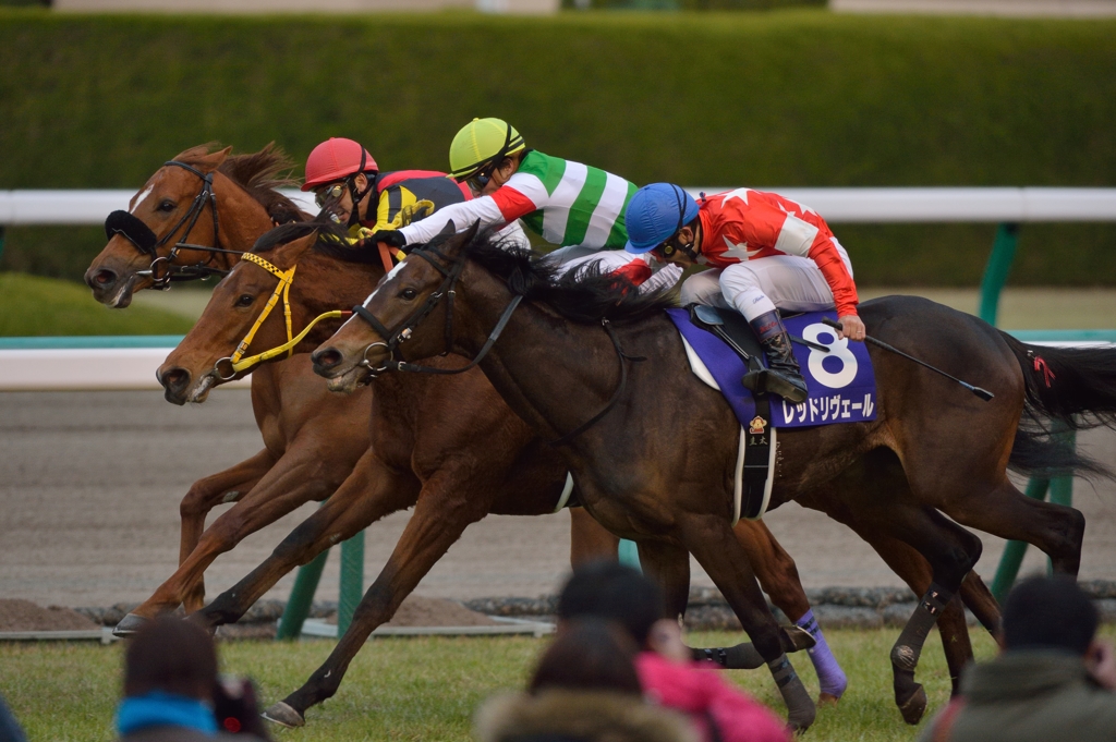 2013 阪神JF レッドリヴェール