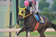 2013.08.23 名古屋競馬　サードニクスOP スウィングダンス