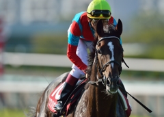 2014 神戸新聞杯 ワンアンドオンリー
