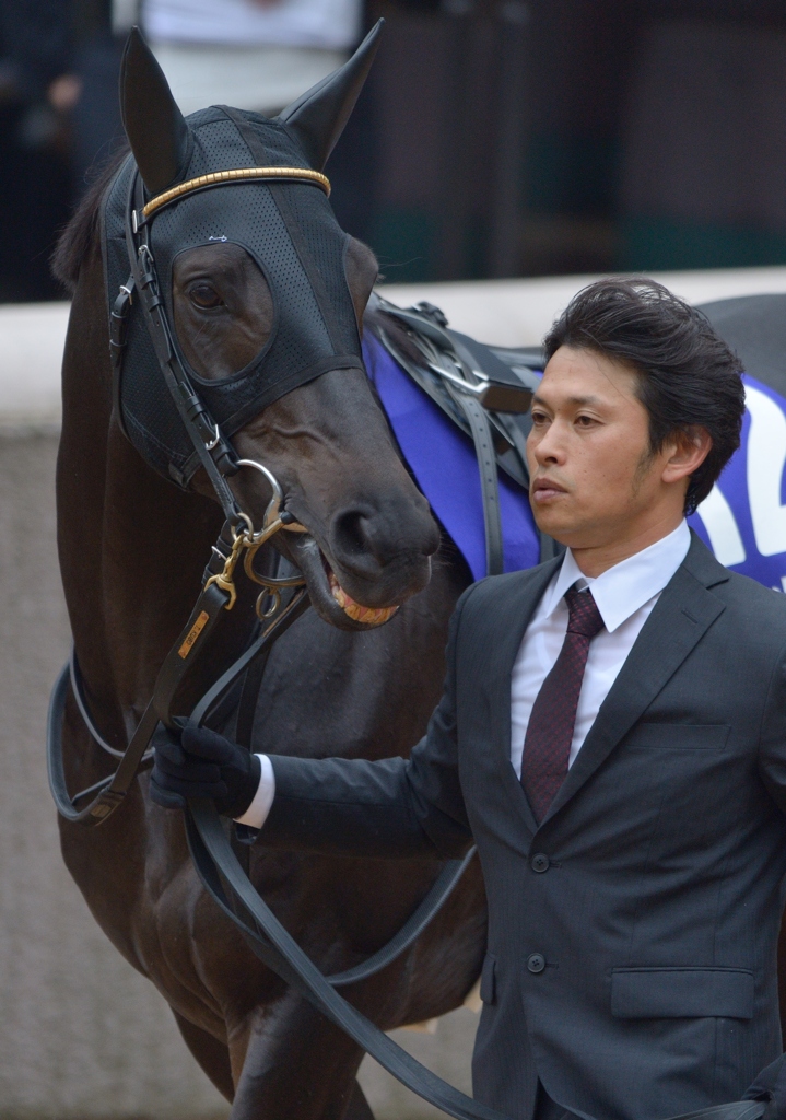 2012　天皇賞(秋) エイシンフラッシュ