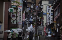 雨の日に咲く花