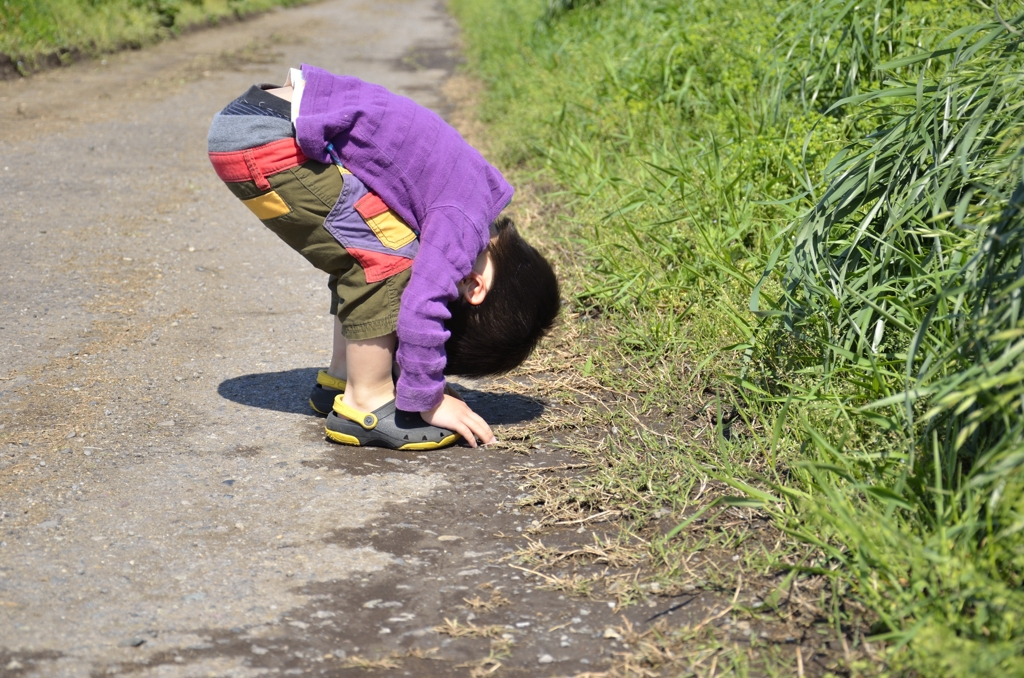 だって自由なんだもんね