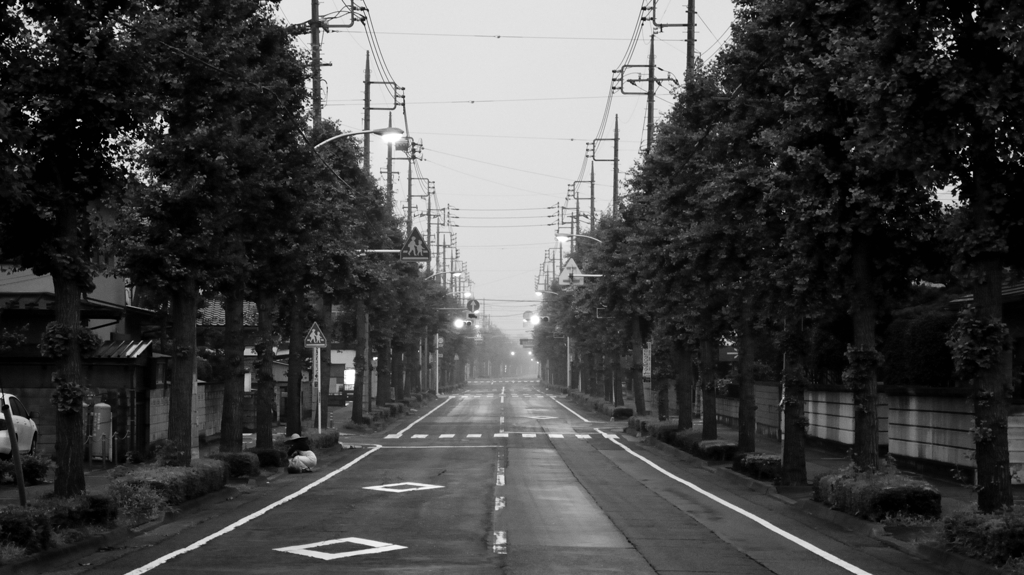 朝霧ときどき雨