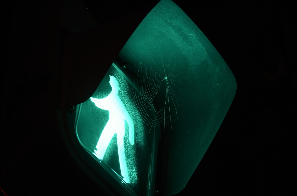 SIGNAL　GREEN