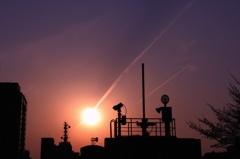 夕陽に飛んで入る春の飛行機雲