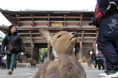 笑顔