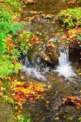 色とりどりながされて