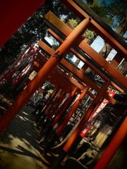 こいのかみさま