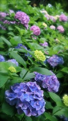 あお、ぴんく、むらさき