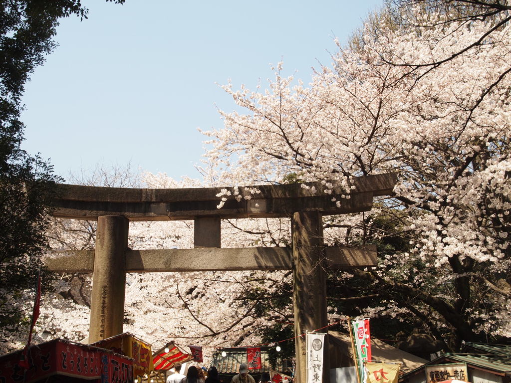 まつりをみおろす