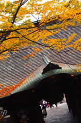 お見送りもみじ