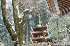 冬の室生寺