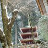 冬の室生寺