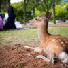 観光地の休息