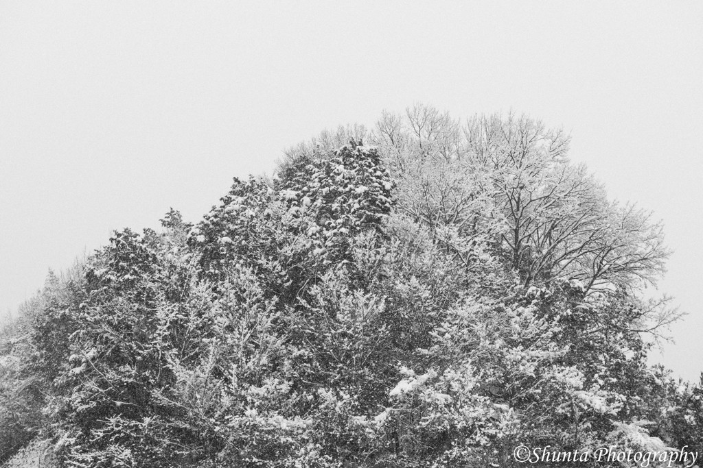 Winter Wonder Natureland