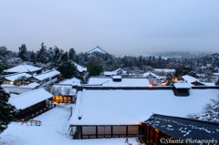 古都奈良の雪景色