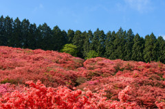 葛城山山頂