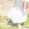 to the Dream