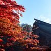 秋晴れ