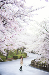 桜坂