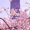 2012 桜　神田川 020 500