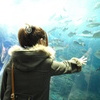 海にタッチ