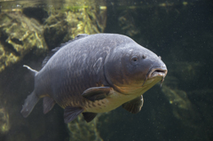 こういうおじさんいるよね