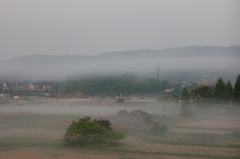 霧の朝