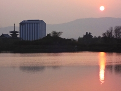 春霞