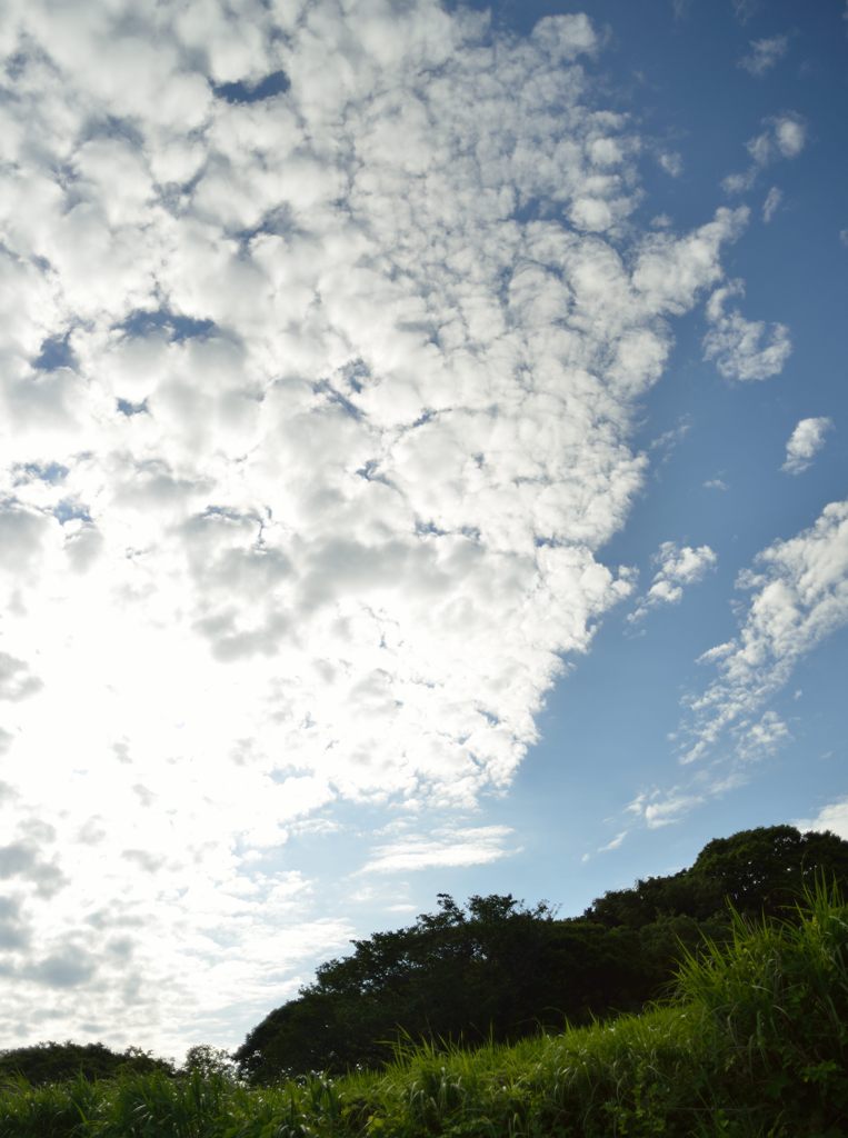うろこ雲？