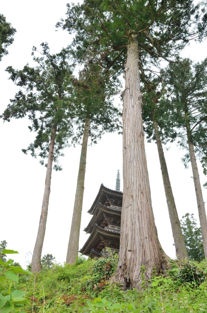 妙宣寺_005