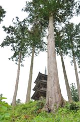 妙宣寺_005
