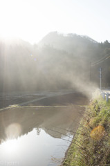 雨の後、朝日
