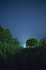 夜空に舞う