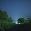 夜空に舞う