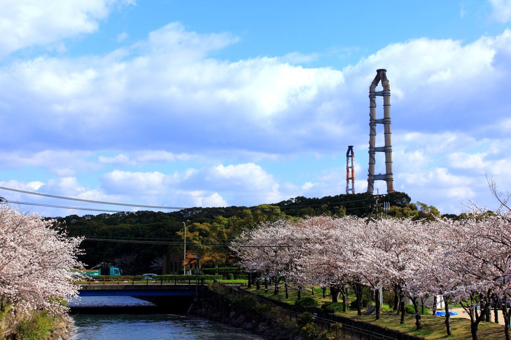 平和市民公園