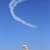 5D3_2828
