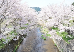 競い合い