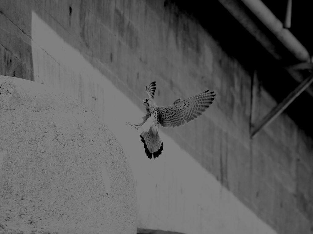 Landing
