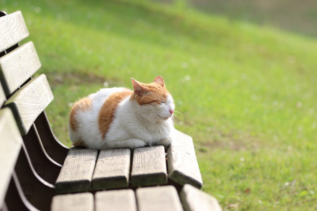 のんびり