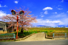 春の風景