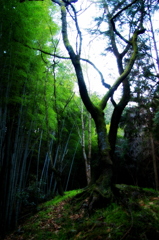 静寂の中で