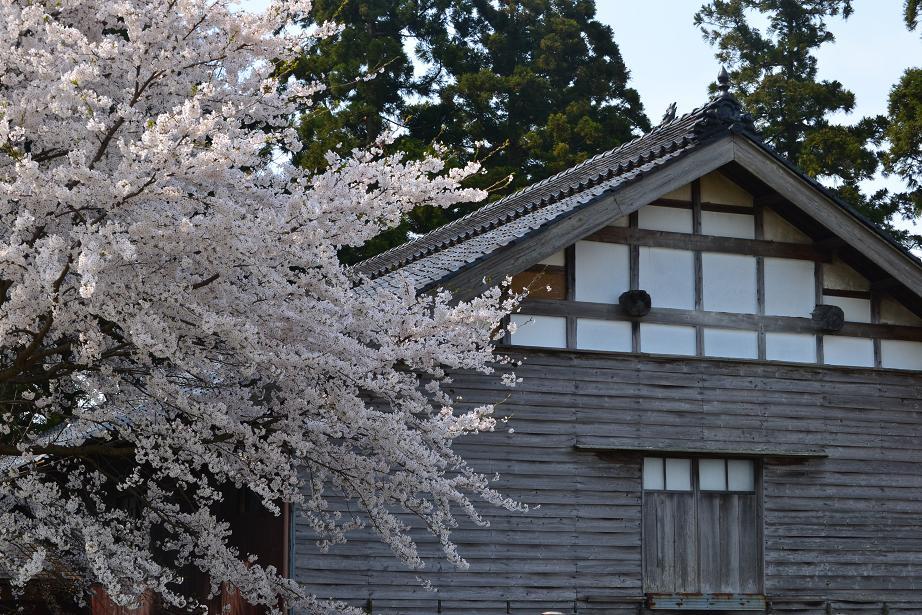 背後で謎の爆笑