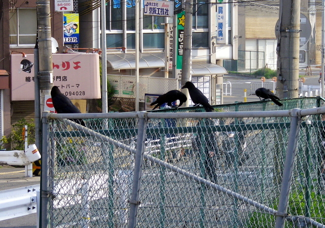 出勤前。